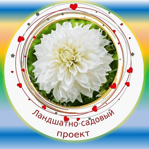 Бегущее фото