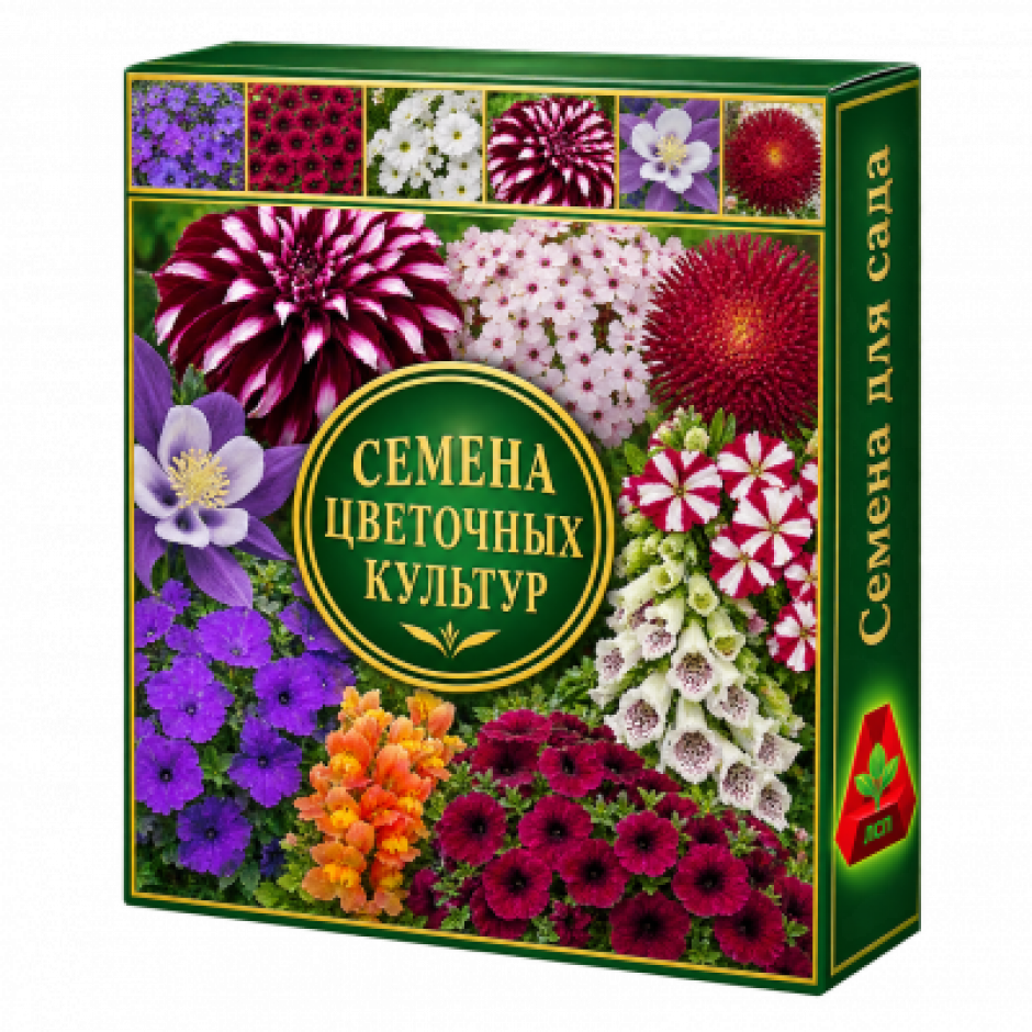 Бегущее фото